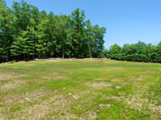 Spacious Private Rear Yard